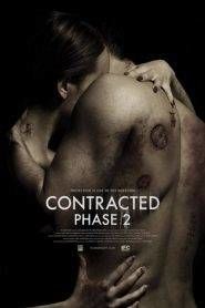 Contracted: Phase II