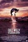 Free Willy – Un amico da salvare