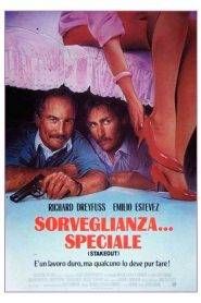 Sorveglianza… speciale