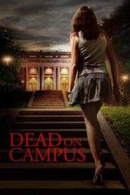 Dead on Campus – Un gioco mortale