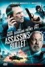 Assassin’s Bullet – Il target dell’assassino