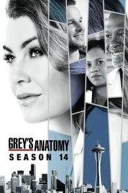Grey’s Anatomy 14