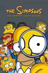 I Simpson 6