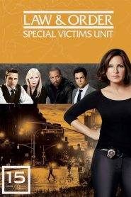 Law & Order – Unità vittime speciali 15
