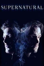 Supernatural 14