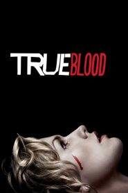 True Blood