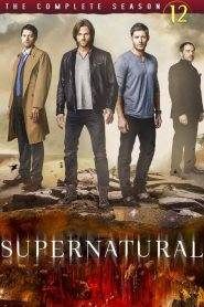 Supernatural 12
