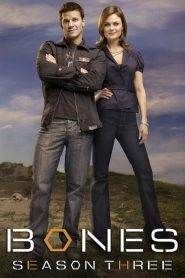 Bones 3
