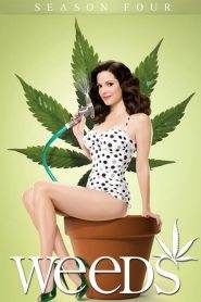 Weeds 4