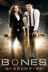 Bones 5