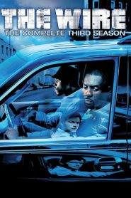 The Wire 3
