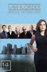 Law & Order – Unità vittime speciali 14
