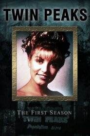 I segreti di Twin Peaks 1