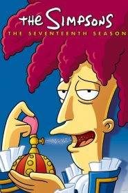 I Simpson 17