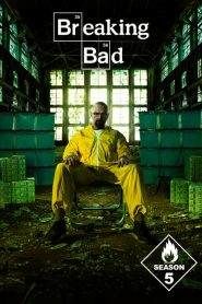 Breaking Bad – Reazioni collaterali 5