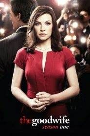 The Good Wife 1
