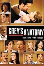 Grey’s Anatomy 5
