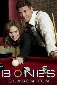 Bones 10