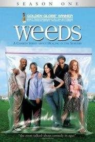 Weeds 1