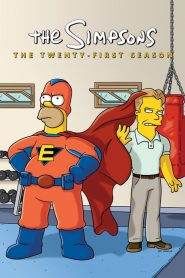 I Simpson 21