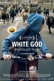 White God – Sinfonia per Hagen