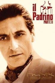 Il padrino – Parte II