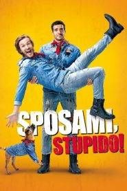 Sposami, stupido!