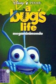 A bug’s life – Megaminimondo