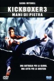 Kickboxer 3 – Mani di pietra