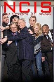NCIS – Unità anticrimine 15