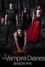 The Vampire Diaries 5