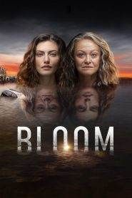 Bloom 1