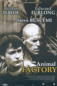 Animal Factory