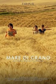 Mare di Grano