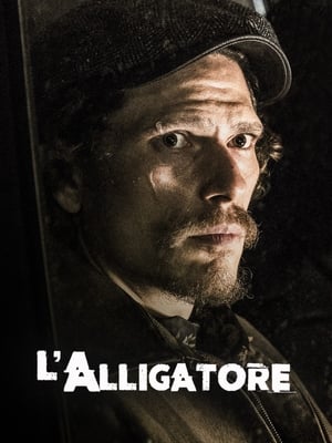 L’alligatore