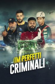 (Im)perfetti criminali