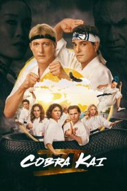 Cobra Kai 6