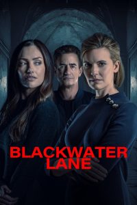 Blackwater Lane: La moglie imperfetta