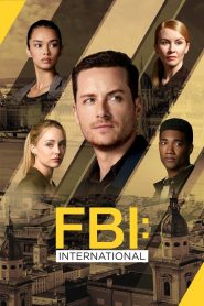 FBI: International 4