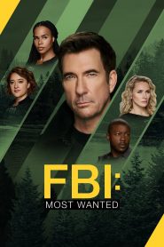 FBI: Most Wanted 6