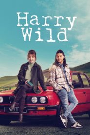 Harry Wild – La signora del delitto 3