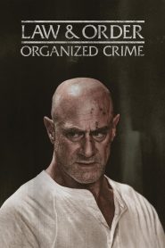 Law & Order: Organized Crime 5