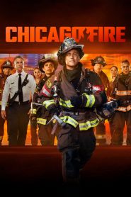 Chicago Fire 14