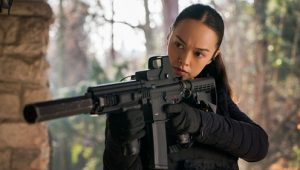 FBI: International 4 x 15